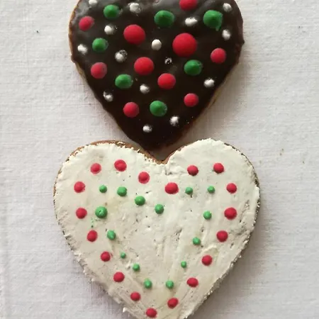 Apartament Tesla Wizard